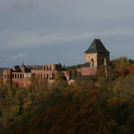 Rurperle * 니데겐